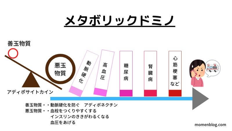 メタボリックドミノ