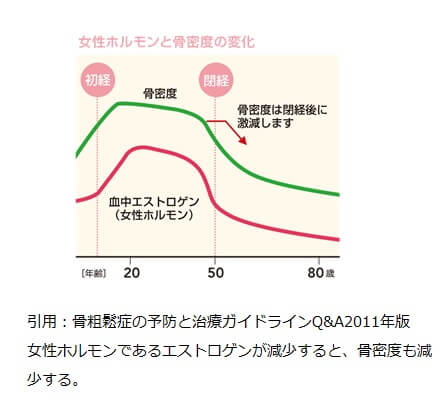 エストロゲンと骨密度