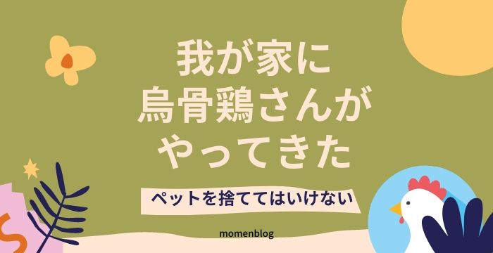 我が家に烏骨鶏さんがやってきた。ペットを捨ててはいけない