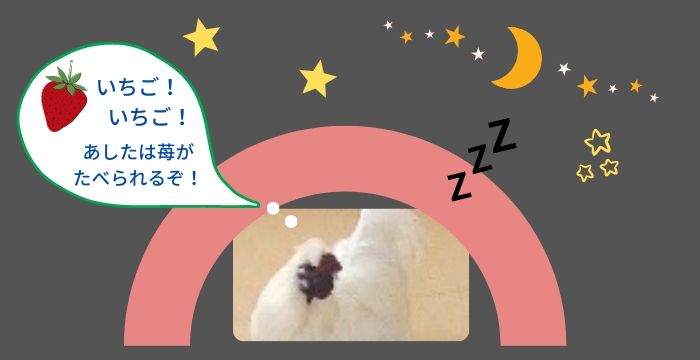 おやすみ武蔵くん